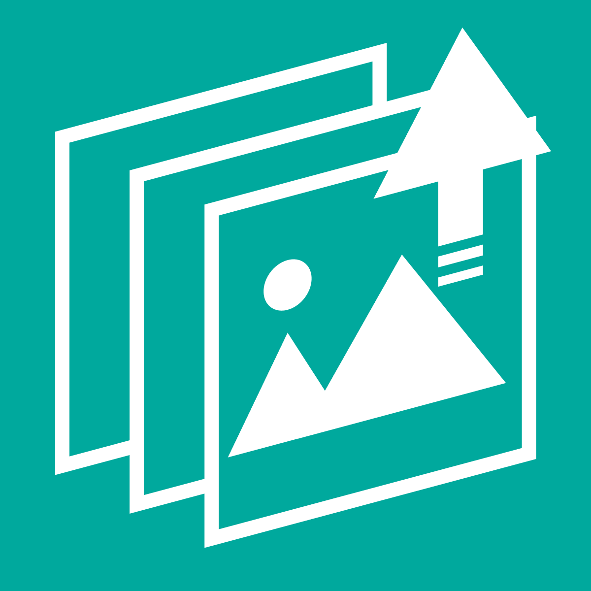 PicSync