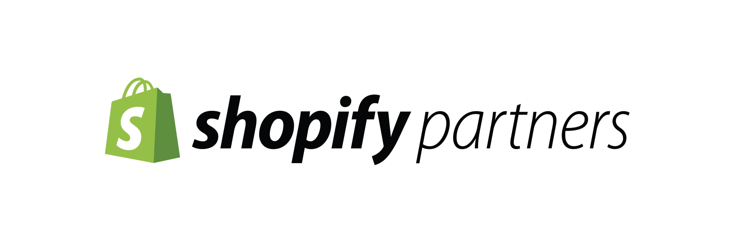 Shopify Partner